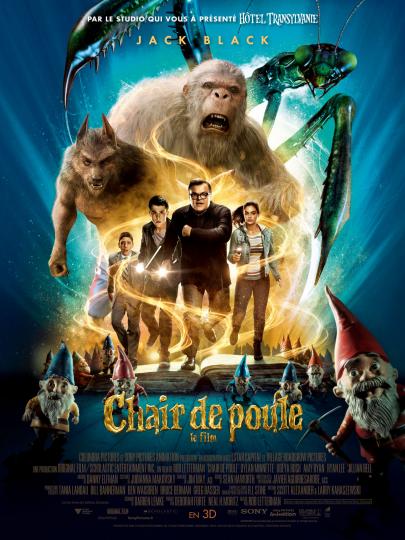 affiche Chair de poule