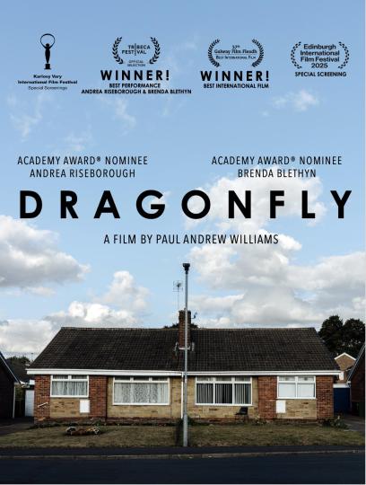 affiche Dragonfly