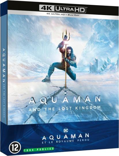 affiche Aquaman et le royaume perdu