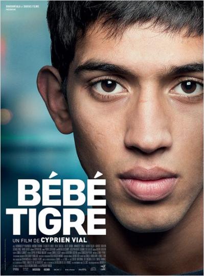 affiche Bébé Tigre
