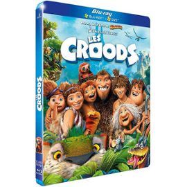 affiche Les croods