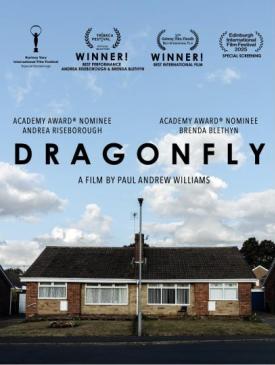 affiche du film Dragonfly
