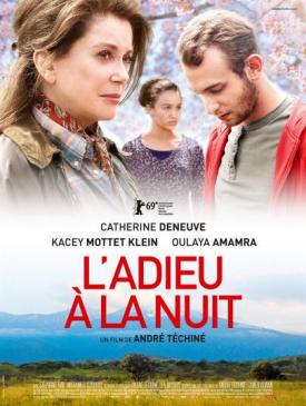 affiche du film L'Adieu à la nuit
