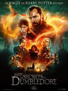 affiche du film Les Animaux Fantastiques - les Secrets de Dumbledore 