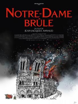 affiche du film Notre Dame brûle