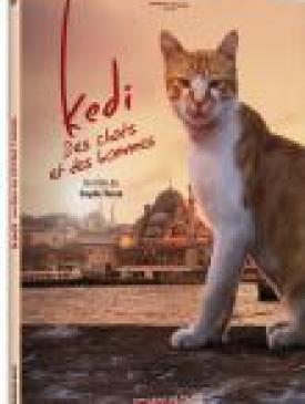 affiche du film Kedi - Des chats et des hommes